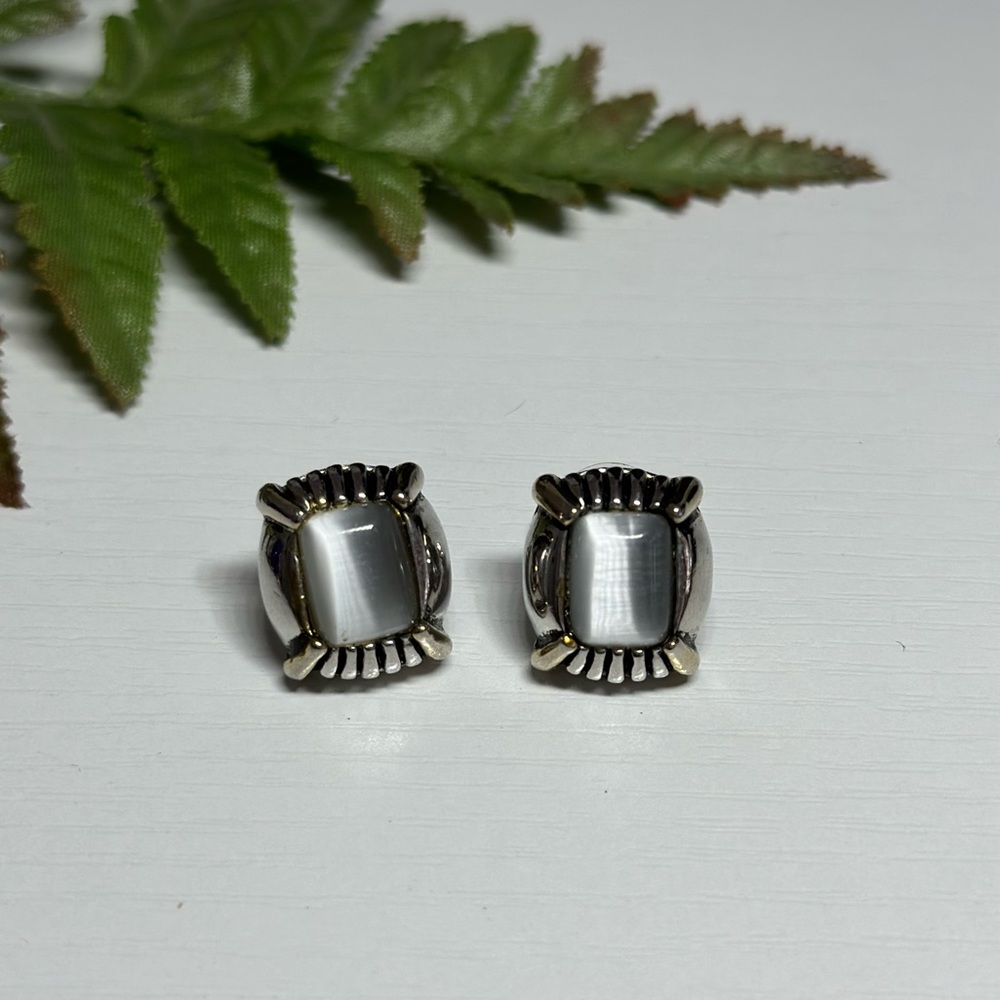 Hoop Earrings